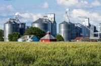 Productores_de_granos - copia - copia